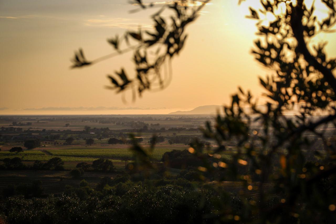 Podere N°8 Agriturismo In Maremma Alberese Exterior foto